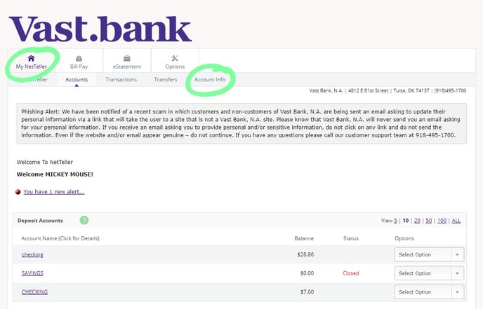 NetTeller-1-a-Account-Info
